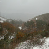 DSC07274.jpg