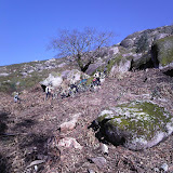 Fotos-0007.jpg