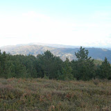 DSCN2350 [800x600].jpg