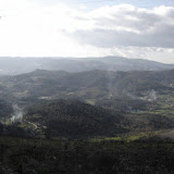 DSC02844 [800x600].jpg