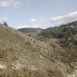 DSC02852 [800x600].jpg
