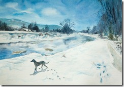 Aldridge-Creek-in-Winter