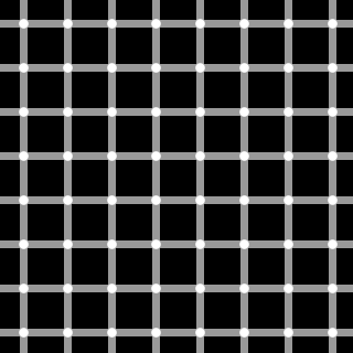 [320px-Grid_illusion.svg[13].png]