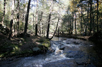 IMG_2271.JPG