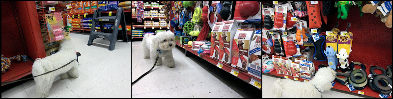 Adas a bit picky and didnt find anything she liked.