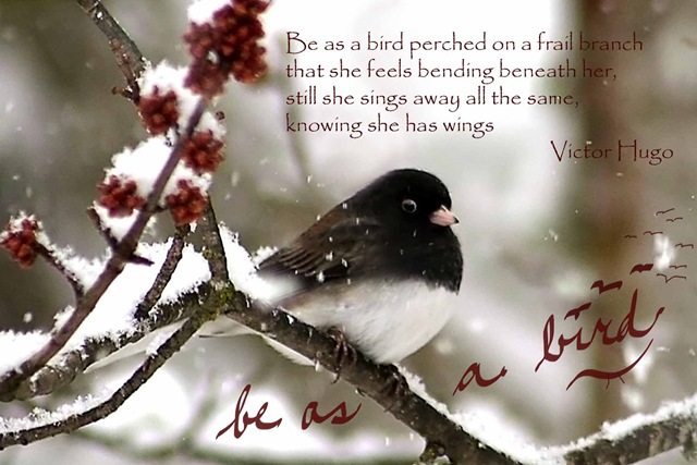 [victor hugo bird quote_edited-2[3].jpg]