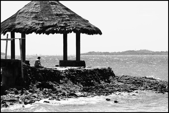 IMG_7650 IMG_7650