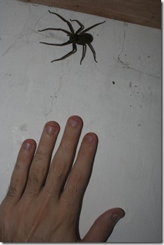 After this I ate him.