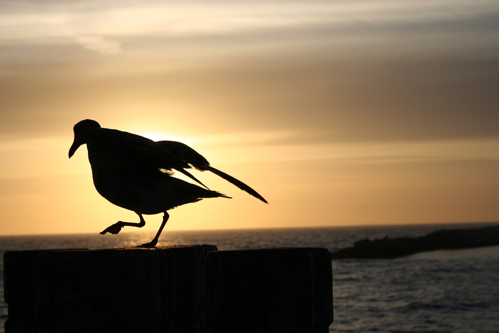 [IMG_487924.jpg]
