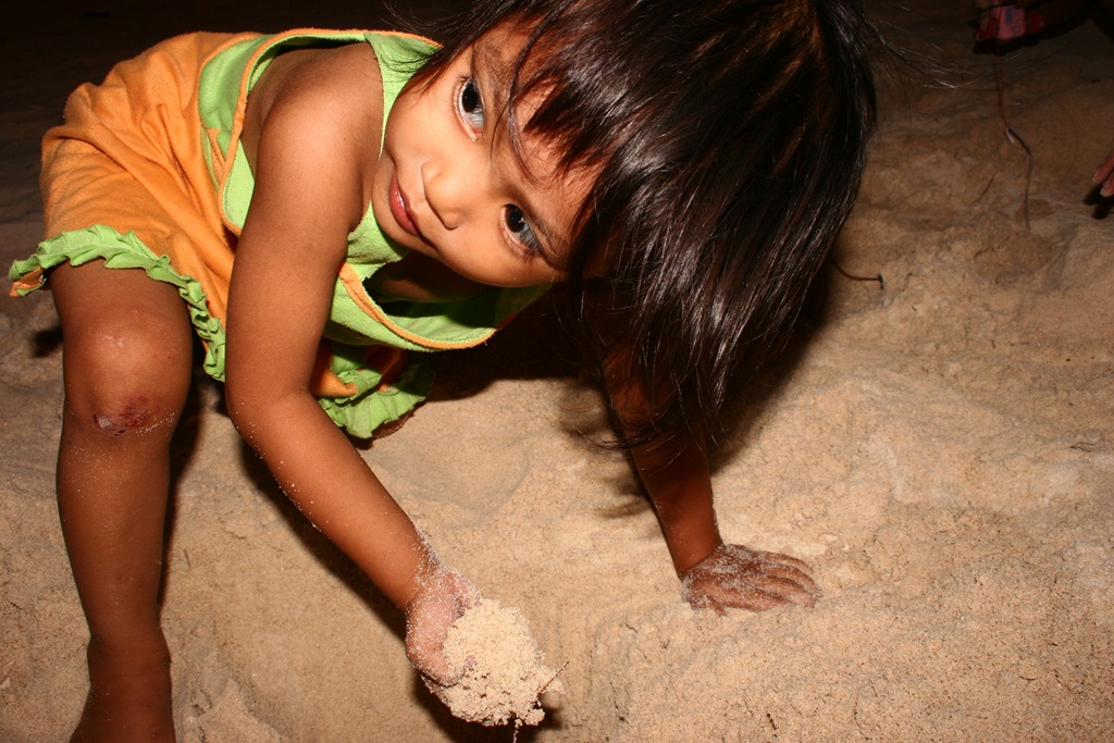 [IMG_58333.jpg]
