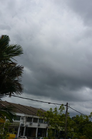 [P1000445[2].jpg]