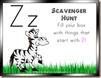 things that start with z 