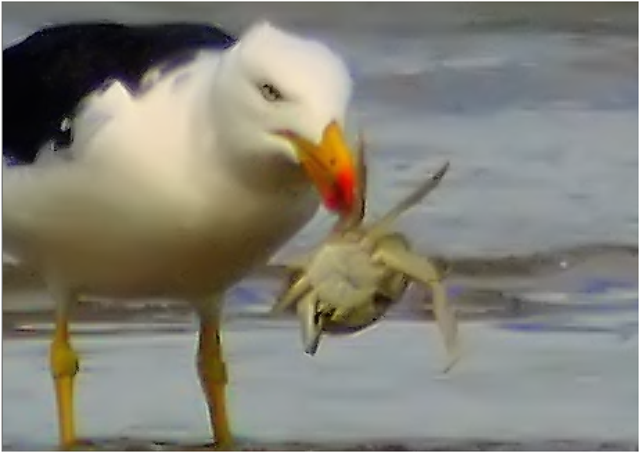 [image[7].png]