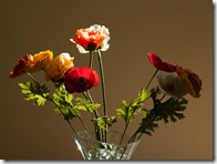 Processed in Photoshop Elements