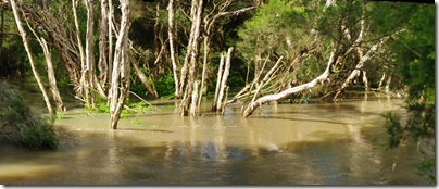 jell park creek flood-1