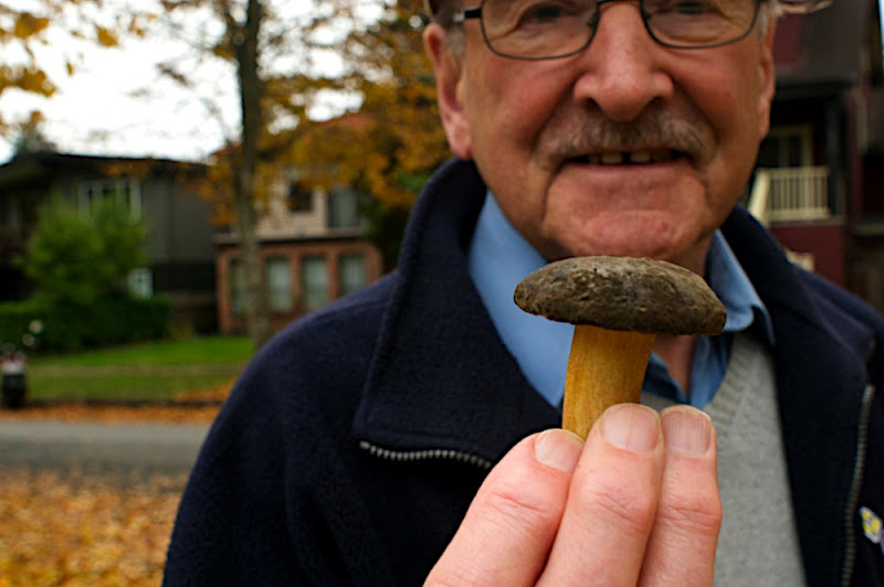 Autumn - Mushroom