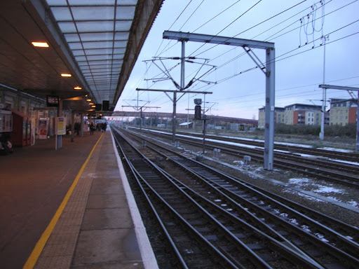 DSC00711.jpg
