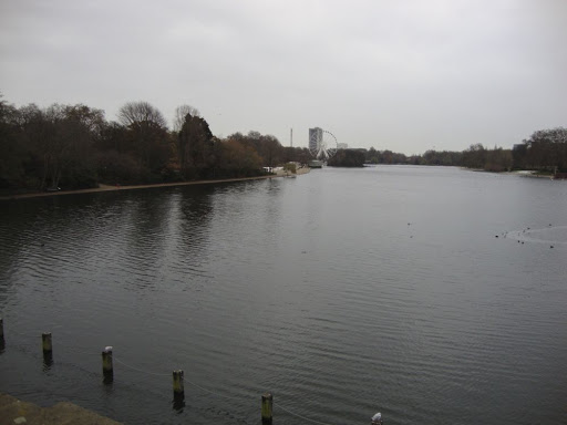 DSC01072.jpg