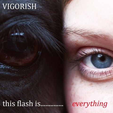 [Vigorish - This Flash Is Everything[7].jpg]