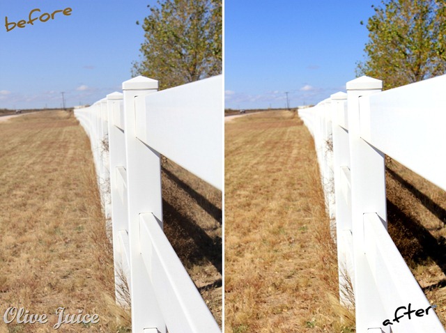 [FenceBeforeAfter[16].jpg]