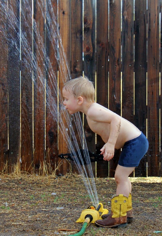 [Tyler Water Sprinkler[5].jpg]