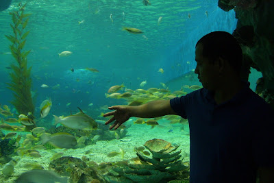 manila ocean park, manila