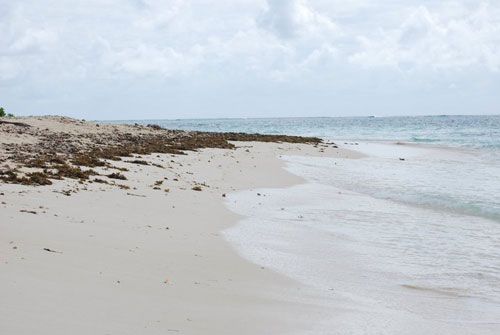 general luna, siargao