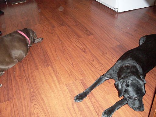 Oso and Emmy Ignore Each Other