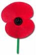 [ANZACpoppy2.jpg]