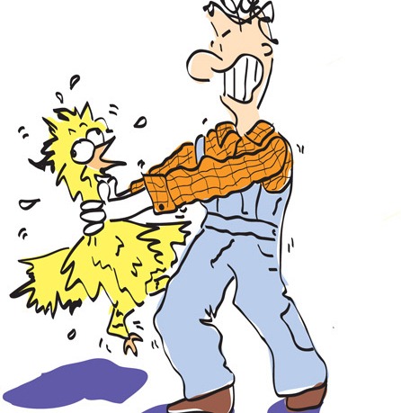 [choking_chicken[8].jpg]