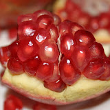 IMG_1485_redimensionar.JPG