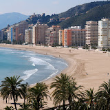 Valencia (during Las Fallas)