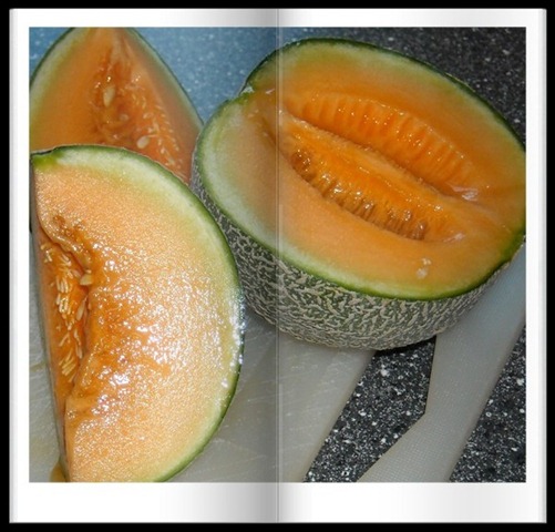 [melon[2].jpg]