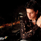 shahrukhkhan-10.jpg