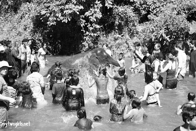 Kuala Gandah Elephant Sanctuary - More bathing of elephant