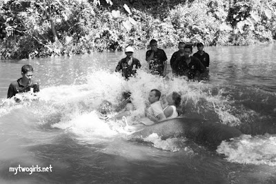 Kuala Gandah Elephant Sanctuary - Splash!