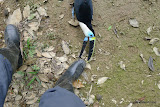 Juan, the toucan, was really a crazy bird.  He bites my toes.