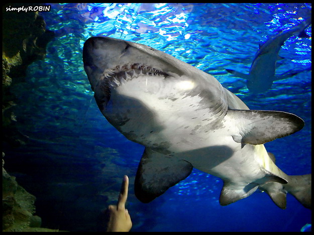 *click* image to see its awesomeness