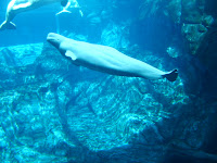 S5000351.JPG