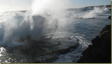 Blowholes