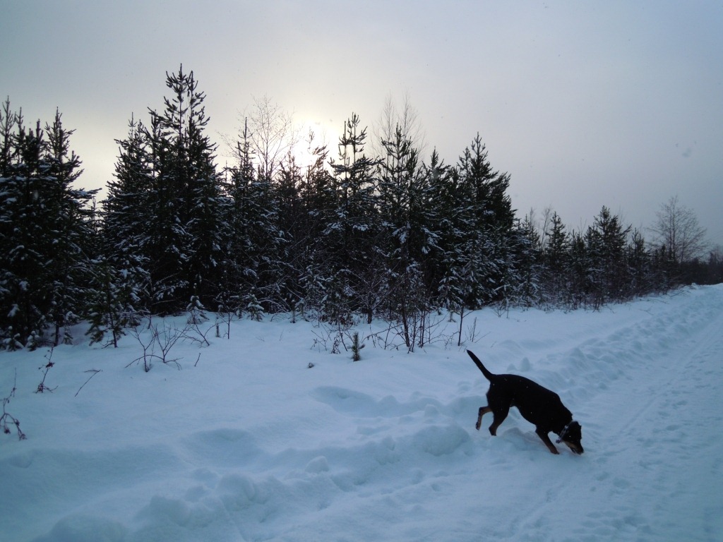 [Winter_Morn[4].jpg]