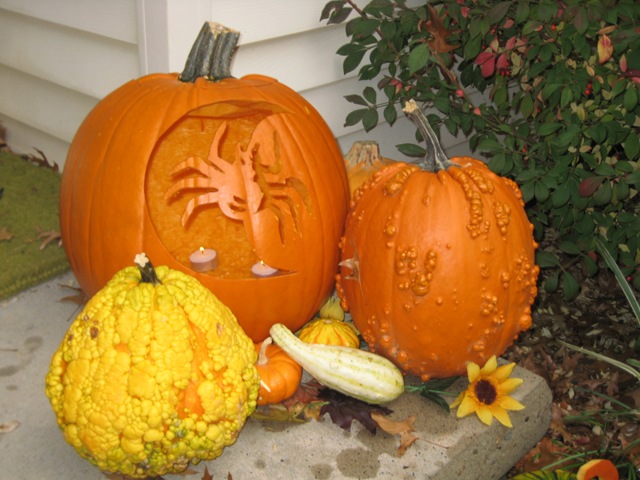 [10.31.2009 Pumpkin Carving (34)[3].jpg]