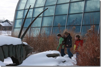 IMG_2540 IMG_2540