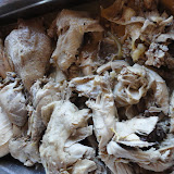 DSC00064.JPG