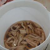 DSC00766.JPG