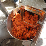 DSC00819.JPG