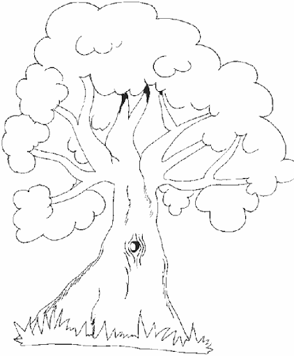 simbolos naturales de venezuela para dibujar simbolos patrios y naturales de venezuela para colorear imagui simbolos naturales de venezuela para dibujar simbolos patrios y naturales de venezuela para colorear imagui