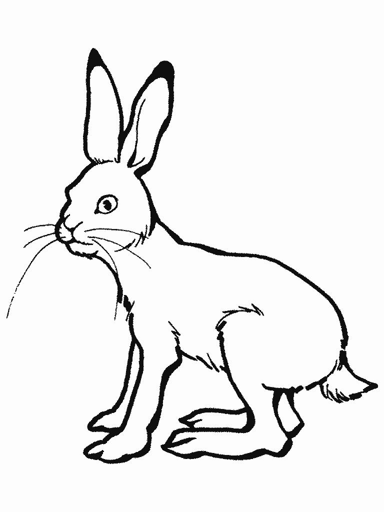 [conejos pascua (7)[2].gif]
