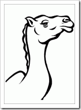 camellos  (8)