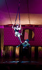 forecastle2010_cirqueberzerk_familyfestival.jpg